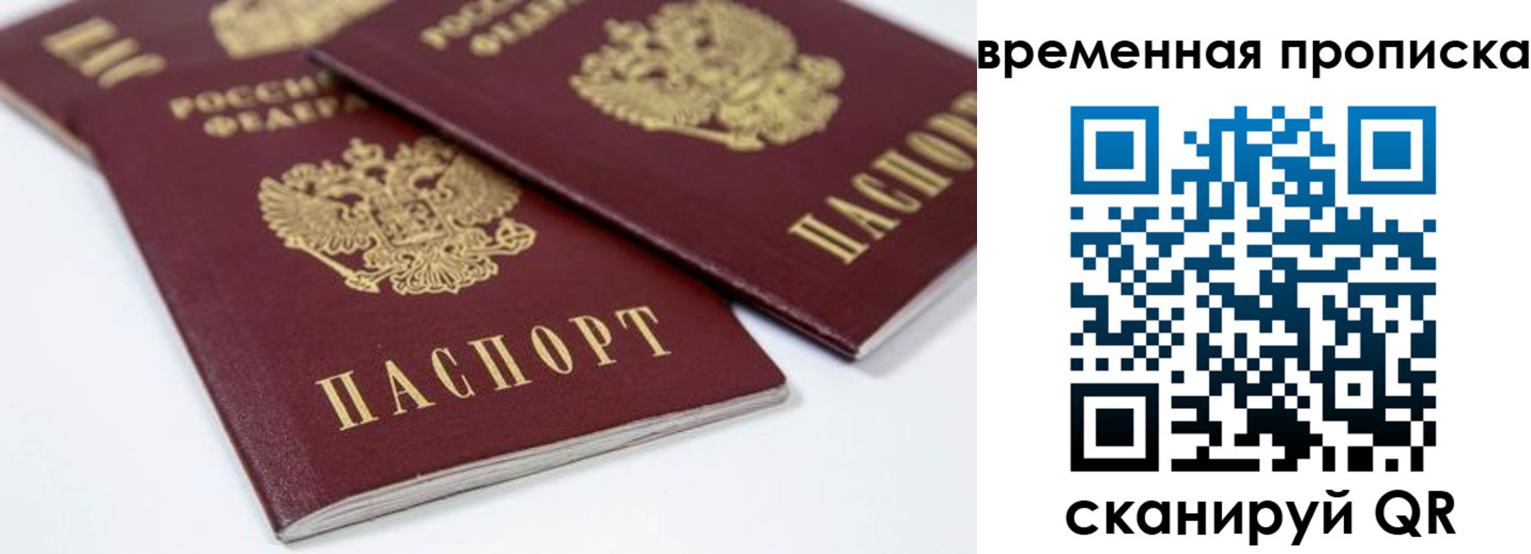прописка для школы в Елабуге